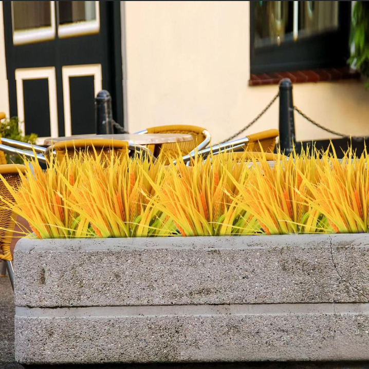 Simulazione di combinazione di piante per mobili per la casa, mazzo di piante di fenice da giardino, decorazione da parete per piante di riso e grano._voghion.com