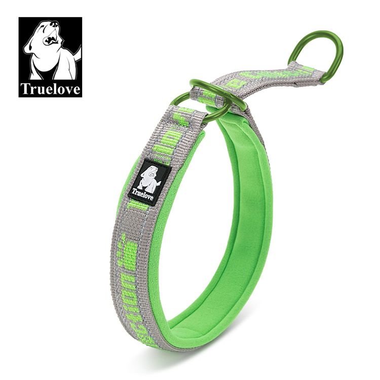 Truelove Pet Dog Leash Small Medium Large Adult Puppy Half P Chain Neck Collar Adjustable_voghion.com