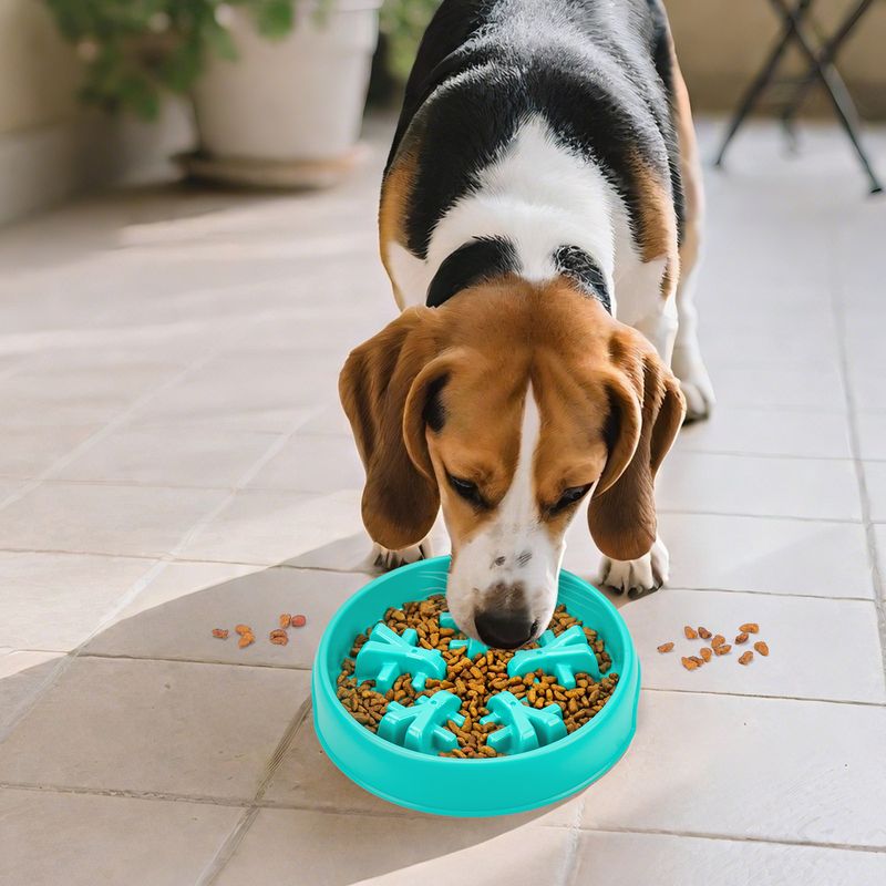 New Pet Anti-Choke Eating With Bottom Feet Practical Cat Dog Bowl Slow Feeder_voghion.com