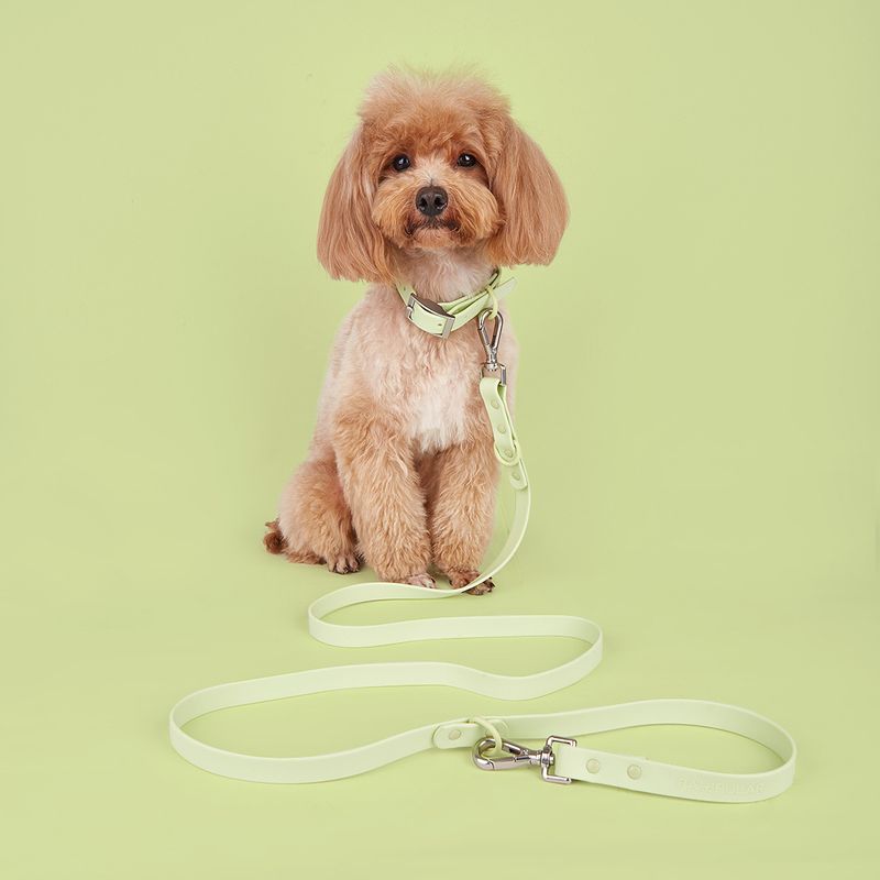 Vanntett PVC-kjæledyrsett for små, mellomstore og store hunder med båndhalsbånd_voghion.com