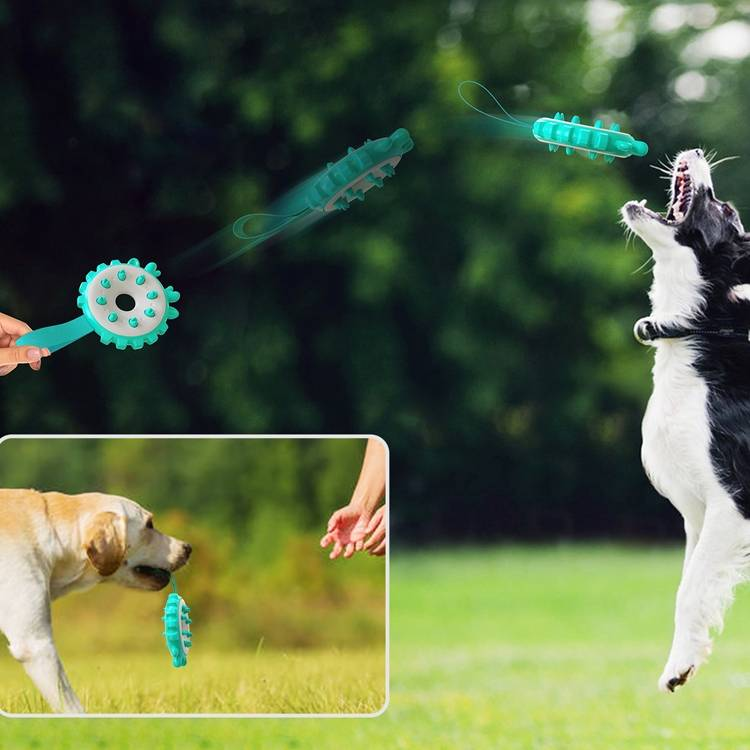 Ring Dog Toothbrushes Training Interactive Bite Dog Milling Toys_voghion.com