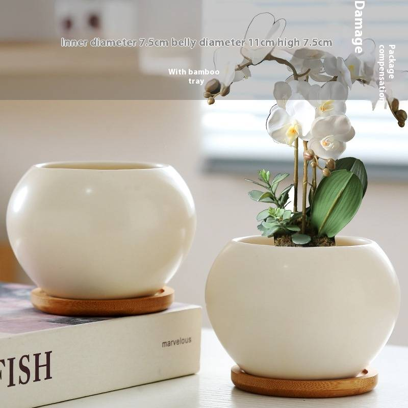 Keramik-Blumentopf mit Untertasse – Stilvolles Wohndekor für Sukkulentenpflanzen – Modernes und elegantes Design_voghion.com