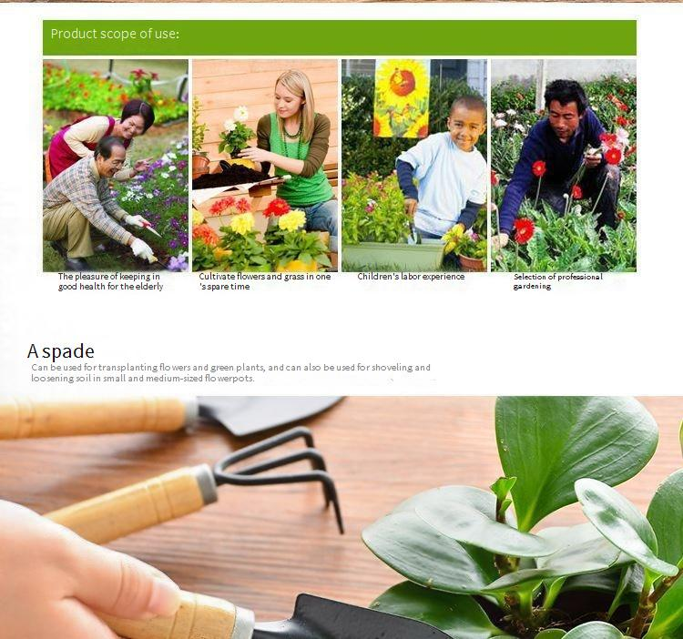 A Household Set Of Small Spatulas And Tools For Growing Flowers And Vegetables Succulents Loosening Soil Potted Plants And Gardening_voghion.com
