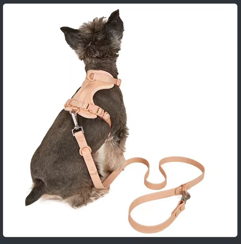 Collare antisporco e antimorso per animali domestici in PVC, set di trazione Waldone dello stesso modello_voghion.com