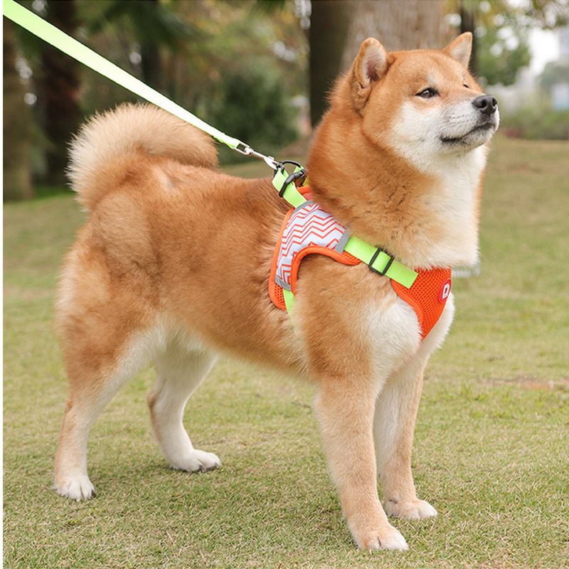 Nuova imbracatura per il petto con guinzaglio riflettente e traspirante, catena per cani_voghion.com