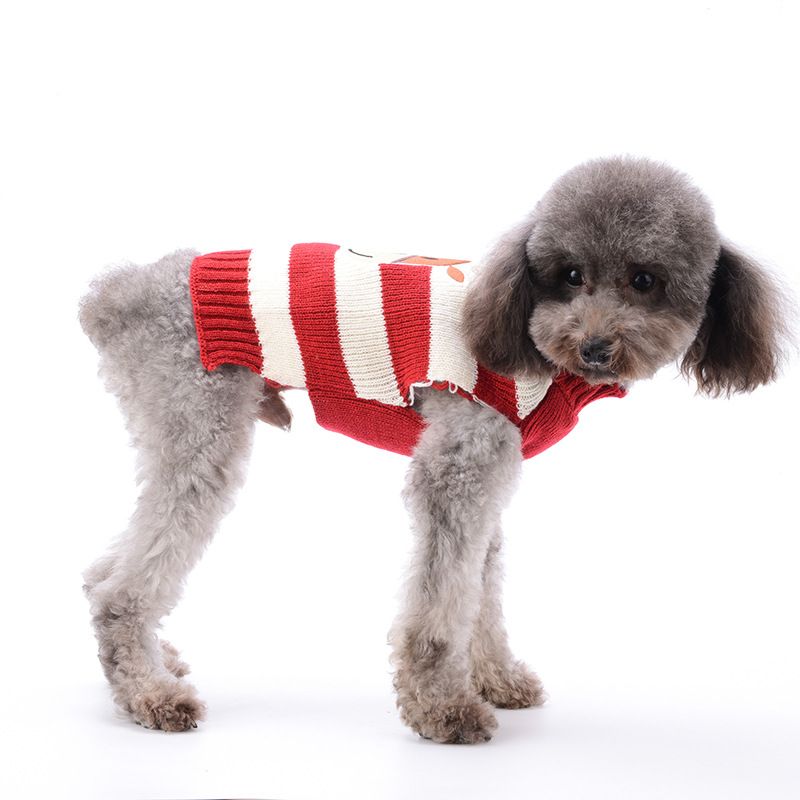 Hund Frühling und Herbst Teddy Pudel Welpen Pullover Neujahr Haustier Kleidung Rentier Weihnachten Outfit_voghion.com