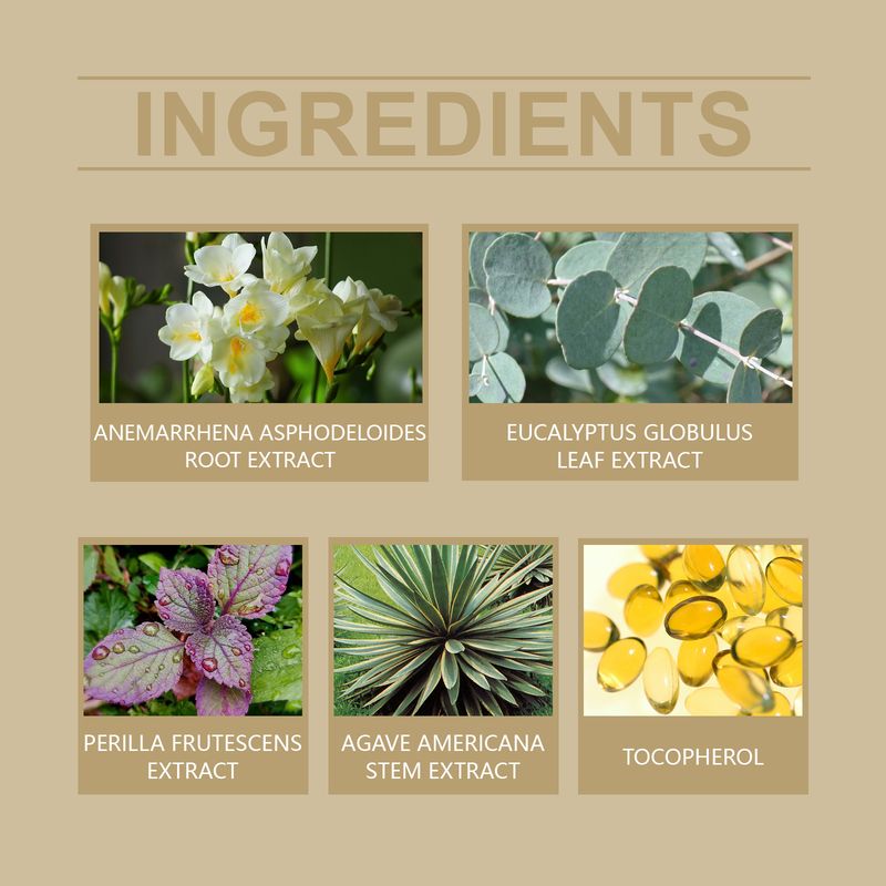 Hoygi Pore Blackhead Peel Mask Blackhead Clean And Hydrating Delicate Pore Gentle Facial Cleansing Mask_voghion.com