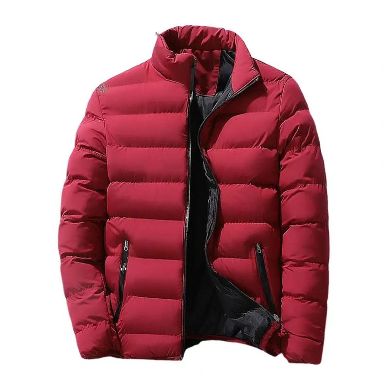 Cappotto invernale da uomo con colletto alto e cerniera in cotone spesso, tinta unita, stile street fashion, M5XL, casual, business, giacca con cerniera, 2023_voghion.com