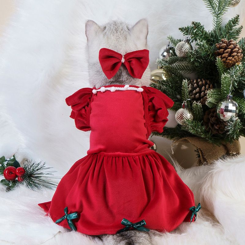 Hund Katze Halloween Haustier Kleidung Kürbis Transformation Kostüm Zauberer_voghion.com