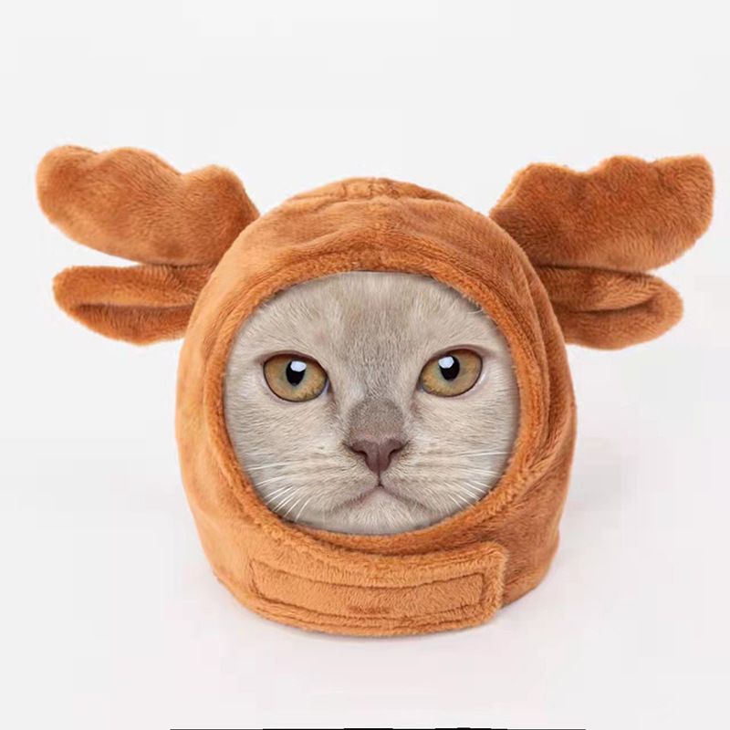 Pet Hat Cat Headgear Dog Headwear Kitten Cartoon Costume Accessories Teddy Christmas Halloween Apparel_voghion.com