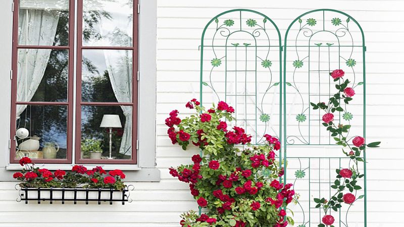 2 Pack Metal Garden Trellis 86.7" X 19.7" Rustproof Trellis For Climbing Plants Outdoor Flower Support Green_voghion.com