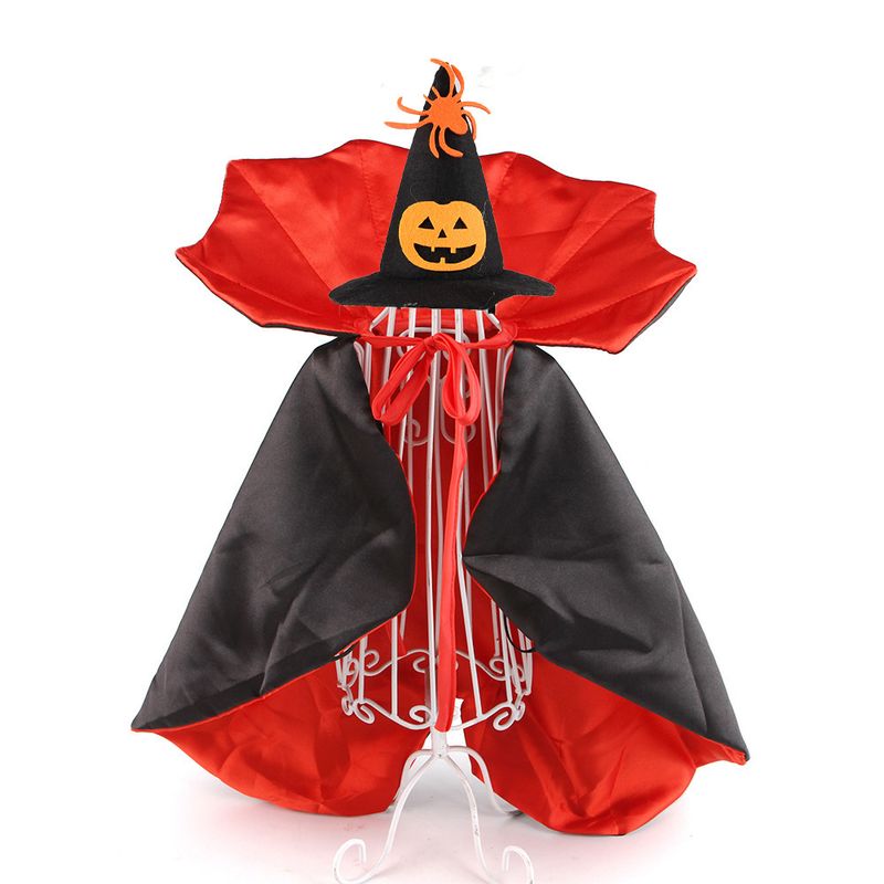 Halloween Haustier Spinne Hexenhut Umhang Zweiteiliges Set Katze Lustiges Kostüm Vampir Transformation Outfit_voghion.com