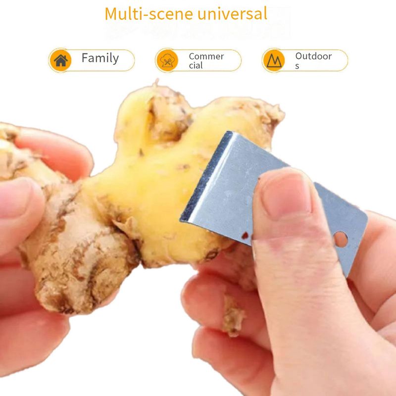 Stainless Steel Multi-Purpose Peeler - Ginger, Potato & Vegetable Peeling Tool - Ergonomic Kitchen Gadget_voghion.com