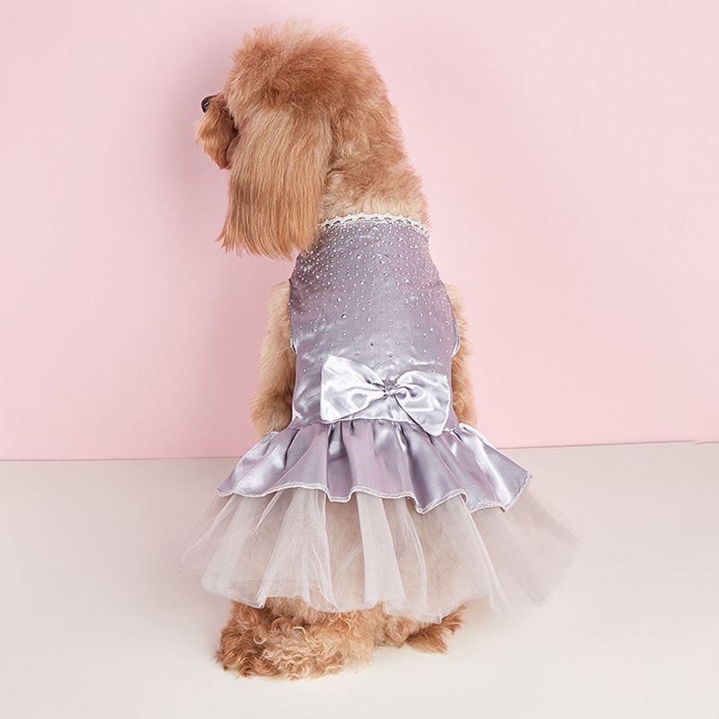 Summer Dress For Dogs, Cats, Lace Pet Chihuahua, Tulle Skirt, Cat Princess, Cute Puppy Clothing, Dog Accessories By PawParty Store_voghion.com
