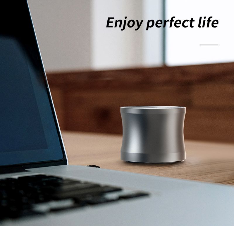 EWA A109 Wireless Bluetooth 5.0 Big Sound Bass, Altoparlanti portatili ad alto volume per esterni Supporta scheda Micro SD Altoparlante con corpo in metallo_voghion.com