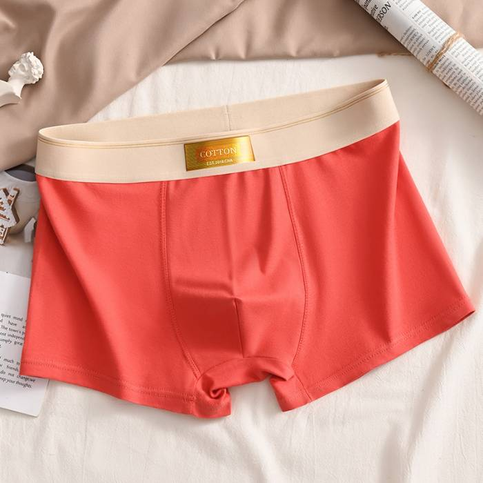4PCS high quality men's boxer shorts summer L-6XL_voghion.com