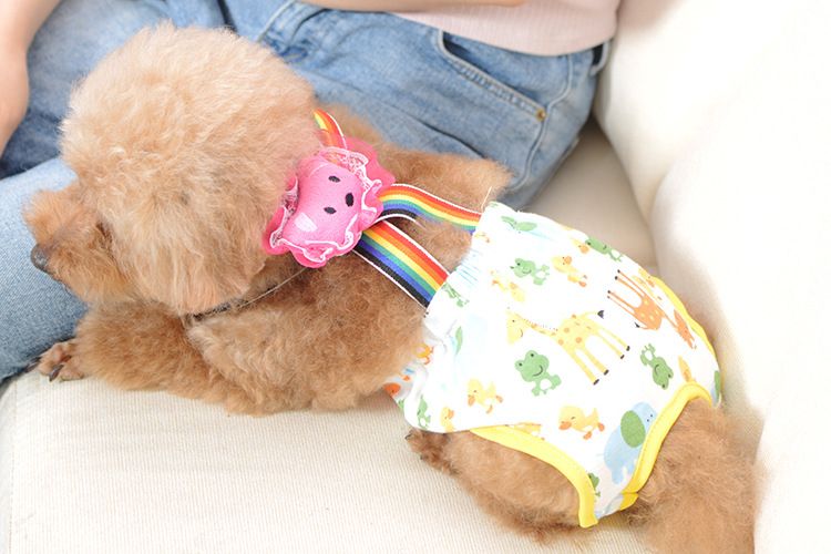 Teddy Bixiong Hygienehose Trägerhose Sicherheitshose Hündin Menstruationshose Anti-Belästigung Hose Haustierhose_voghion.com