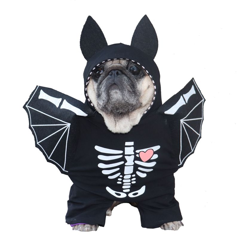 Huisdierhond Halloween Vleermuis Staande Grappige Skelet Rechtopstaande Outfit Teddy Mopshond Vleugels Kostuum_voghion.com