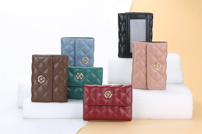Boiseen New Women's Card Bag Embossed Multi Card Slot Accordion Coin Purse Small Buckle Wallet_voghion.com