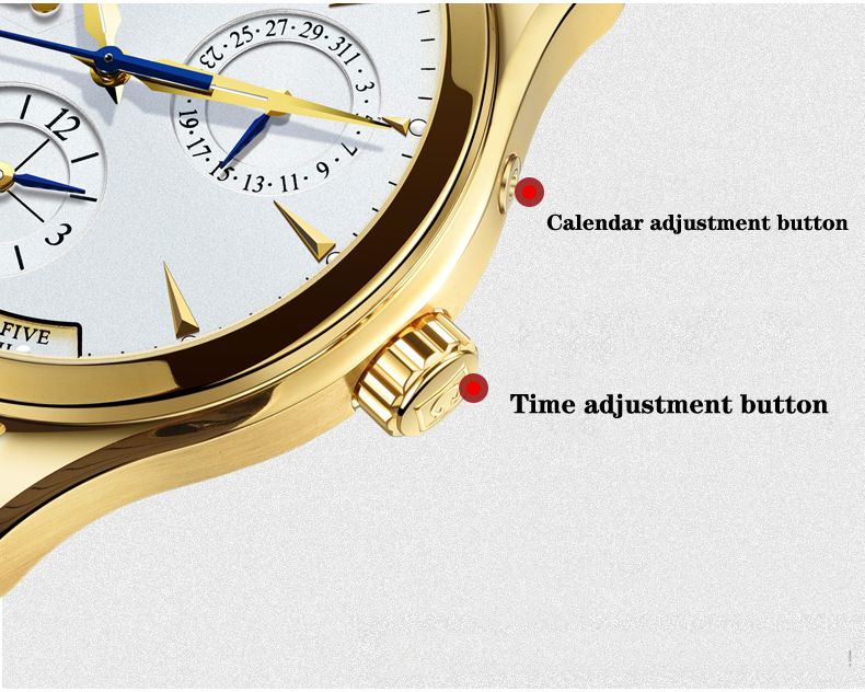 CARNIVAL Second Time Zone Kinetic Energy Display Watch Men Sapphire Automatic Mechanical Watches Man Watch Leather Waterproof_voghion.com