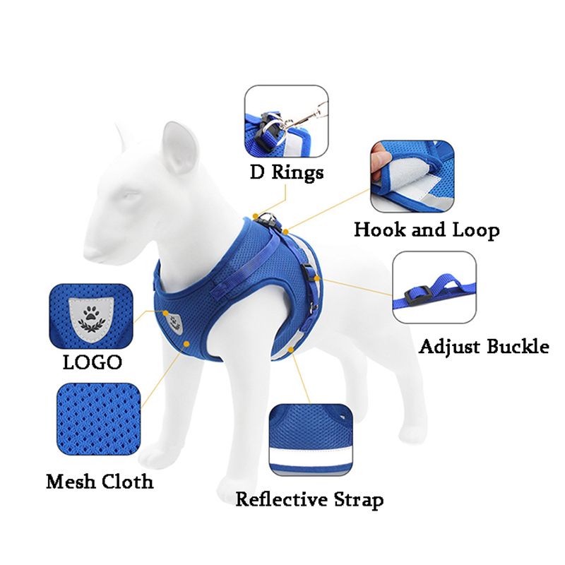CDDMPET Dog Harness And Leash Set By PawParty Store_voghion.com