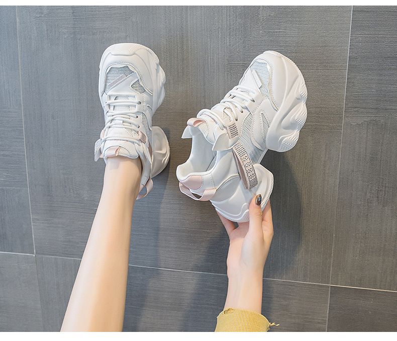 Thick-soled Transparent Mesh And Double-layer Mesh Heightening Dad Shoes Casual Versatile Style Small Women's Shoes_voghion.com