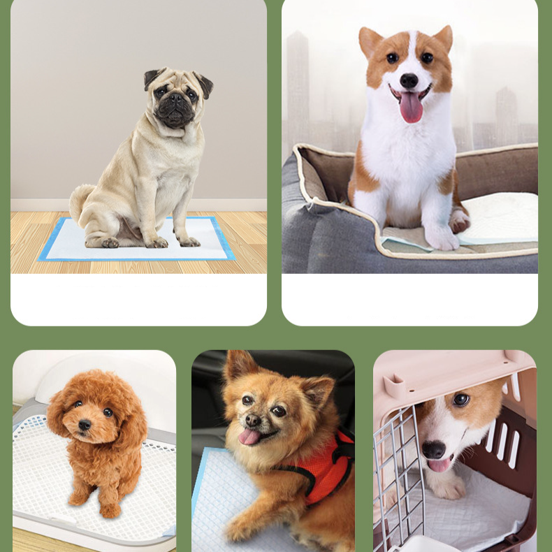 Scutec îngroșat pentru câini, scutec din hârtie pentru animale de companie, scutec Teddy, scutec pentru câini_voghion.com