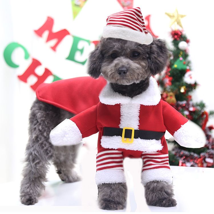 Weihnachten Große hund Katze Santa Claus kleidung hund heimtierbedarf pelzigen lustige zwei füße goldene haar transformation_voghion.com