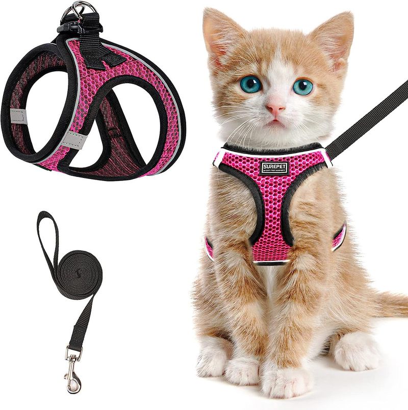 Harness Cat Collar Vest Style Leash Reflective Breathable Dog Rope Pet Supplies_voghion.com