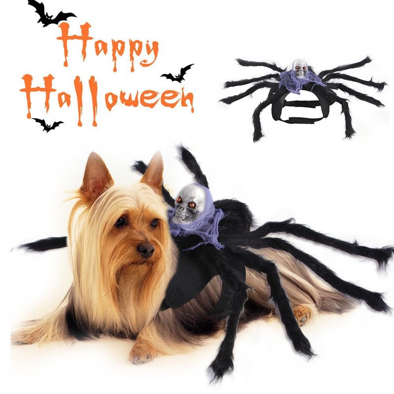 Costume da imbracatura per animali domestici a forma di ragno, per Halloween, per cani e gatti di piccola taglia, per la trasformazione del teschio_voghion.com