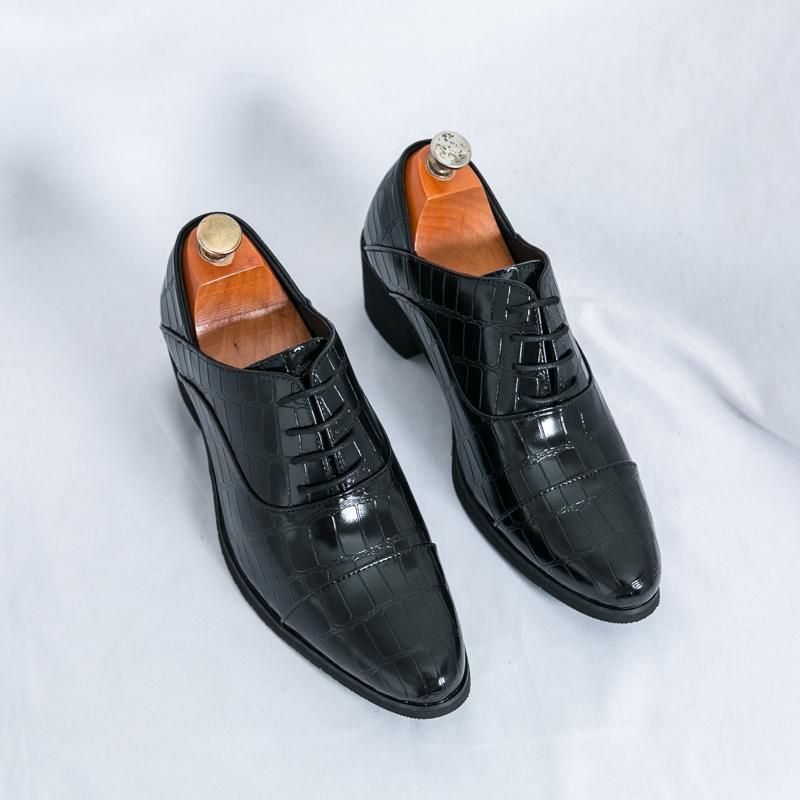 New British Trendy Crocodile Pattern Casual Leather Breathable Legged Men's Business Sharp Scalp Shoes_voghion.com