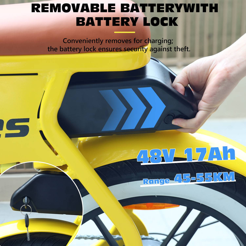 Hidoes C8 Elcykel för vuxna 20" Fat Tire Step Through City EBike 700W 48V 17Ah_voghion.com