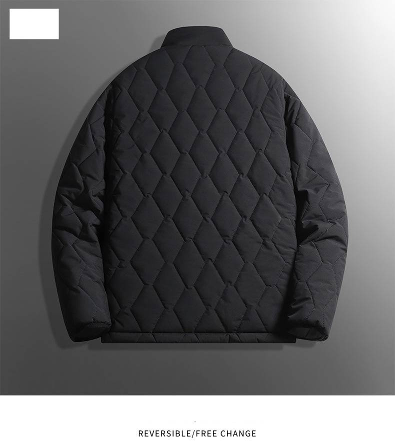 Leichtgewichtige, wendbare Winterjacke für Herren – Slim Fit Steppmantel mit Stehkragen für Business Casual und Alltag_voghion.com