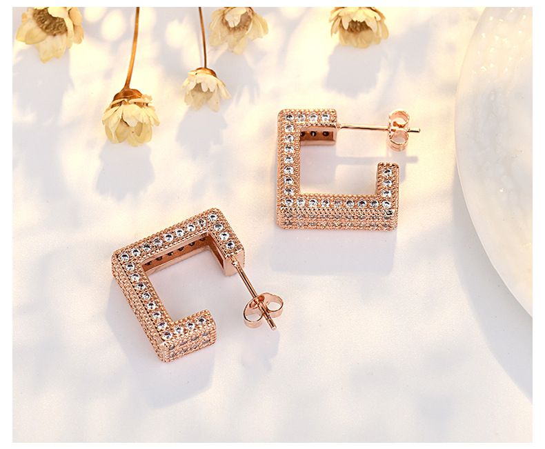 Full Diamond Zircon Silver Earrings for Women Light Luxury Fashionable Earrings Simple and Niche Design Trendy Earrings for Men_voghion.com