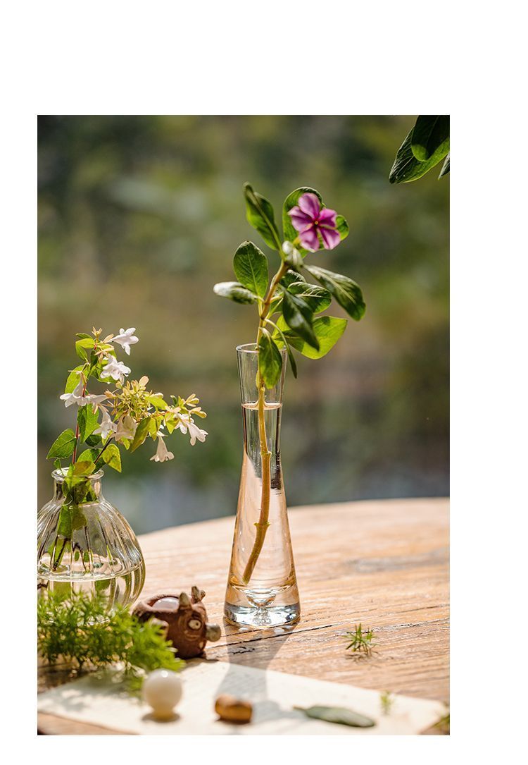 【 46000 People Collected 】 Juhan Nordic Ins High Beauty Arrangement Water Nourishing Small Vase Glass Transparent_voghion.com