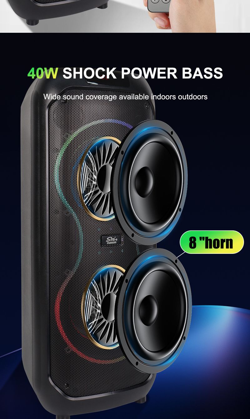 ZQS8255 Dual 8 polegadas RGB Light Charging Bateria de longa duração Microfone externo prático Alto-falante Bluetooth_voghion.com