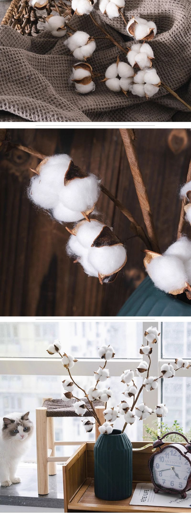 Bouquet de fleurs artificielles en coton de qualité supérieure – Tiges de coton séchées réalistes pour décoration intérieure, compositions de Noël et accessoires photo 48 cm_voghion.com