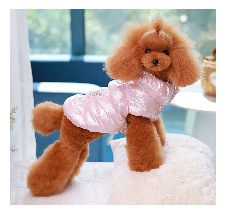 Nieuwe katoenen jas, vest, kattenkleding, honden donsjack, herfst- en winterkleding voor huisdieren_voghion.com