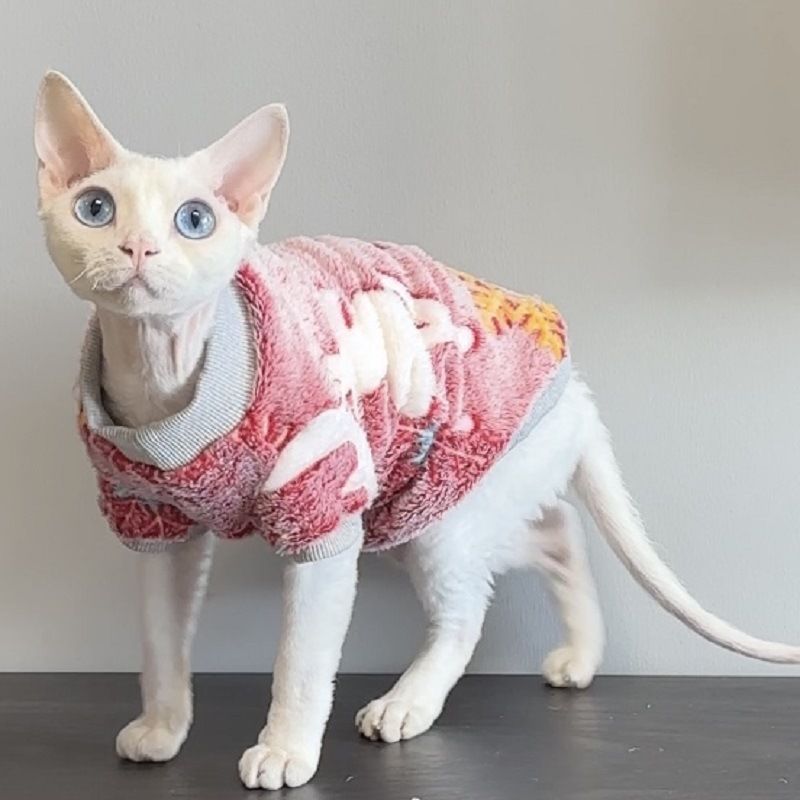 Devins Sphynx Pet Hairless Cat Glow-in-the-Dark Flannel Two-Legged Clothes Bichon Teddy Soft Comfortable Clothing_voghion.com