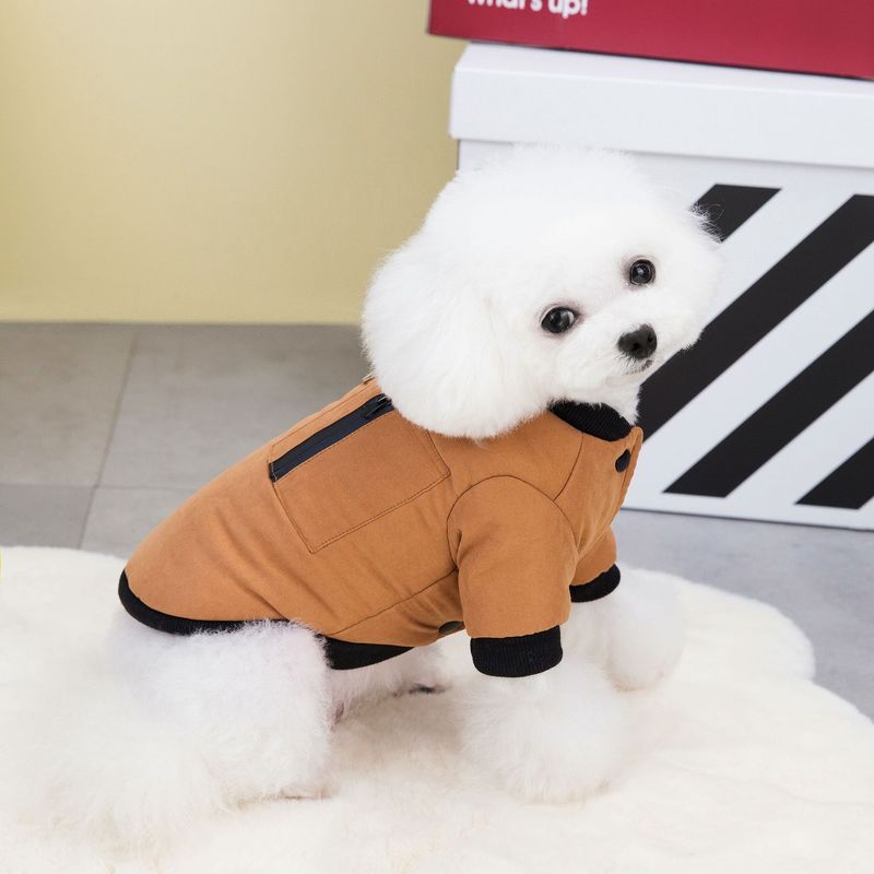 Abbigliamento per animali domestici autunno/inverno per cani con anello di trazione e cappotto in cotone con cerniera in velluto 23 colori_voghion.com