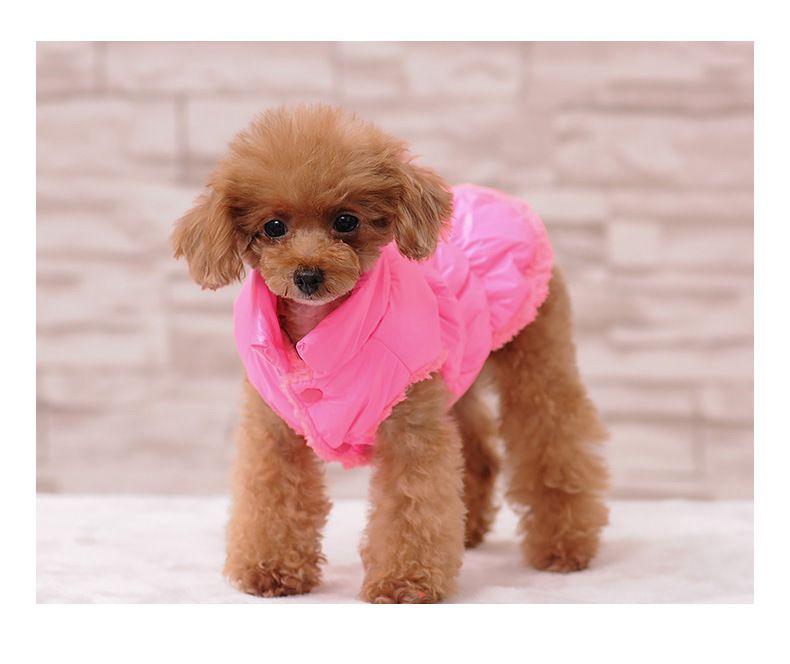 Warme Teddy-Haustierweste, verdickte Katzen-Herbst- und Winter-Hundekleidung_voghion.com