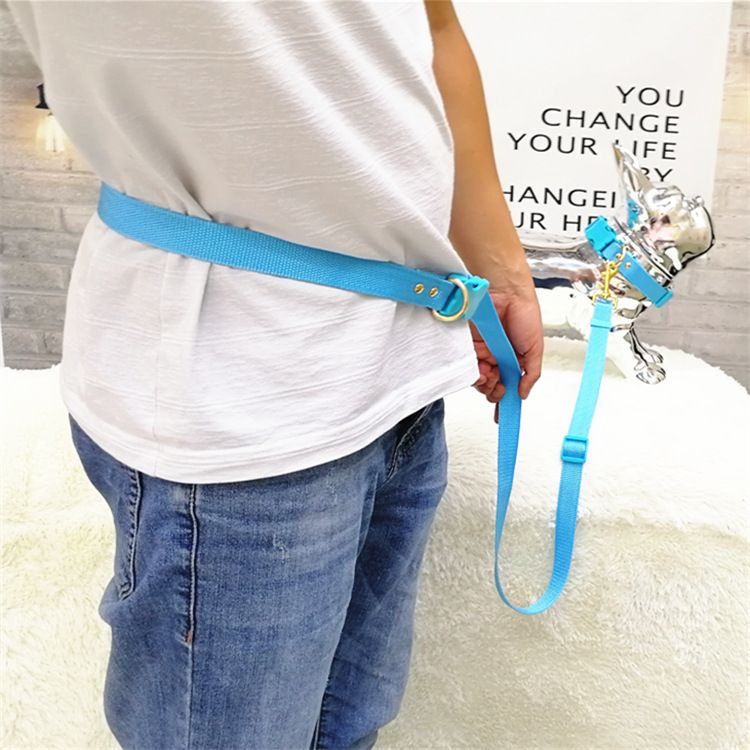 2022 New Solid Color Retractable Dog Running Pet Leash_voghion.com