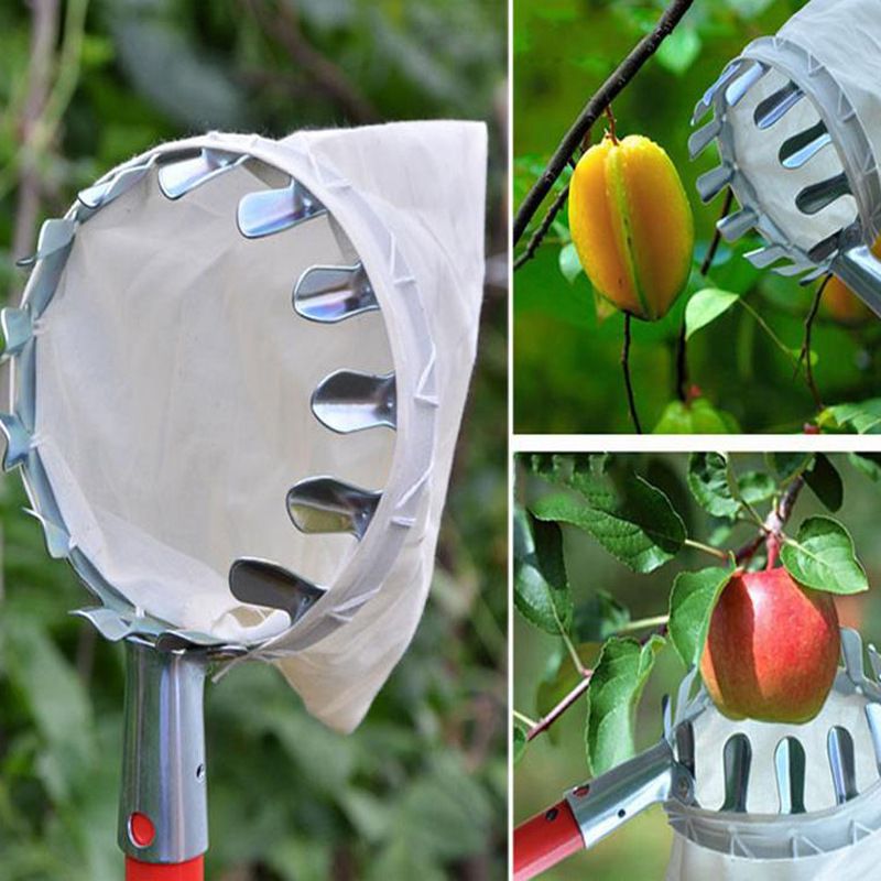 Portable fruit picker metal fruit picker high-altitude fruit picker Agricultural Garden hardware tools in stock_voghion.com