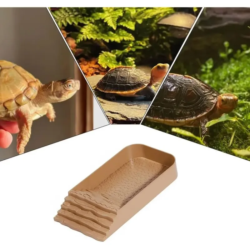 Reptile Slope Water Bowl And Plate Reptile Bath Pool Feeding Plate Slope Aquarium Decoration Gecko Snake Turtle Lizard Bath_voghion.com