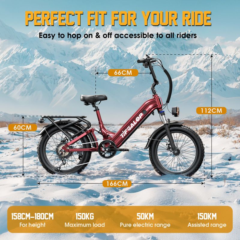 Tifgalop XC20 Electric Bike For Adults, 70NM 250W Motor, 48V 20AH Battery_voghion.com