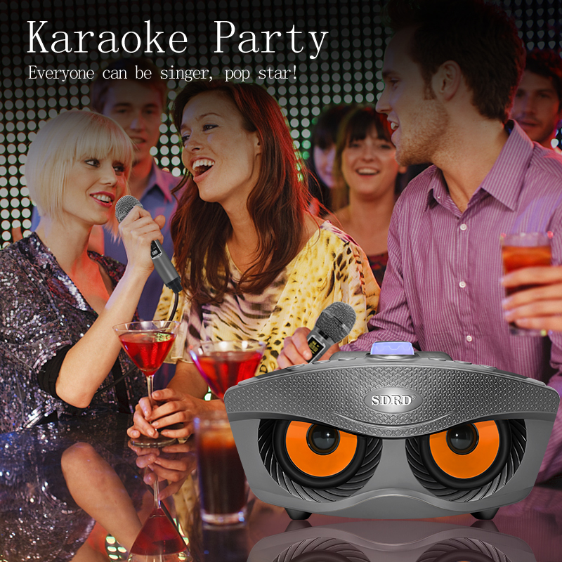 Altoparlante Bluetooth wireless professionale per karaoke con doppio microfono Sistema KTV per esterni Lettore musicale portatile_voghion.com