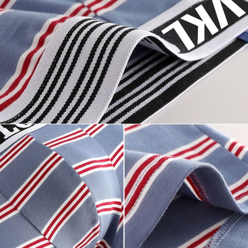 Men's Underwear Comfortable Breathable Boxer Briefs Trendy Fashion Boxer Shorts Youth_voghion.com