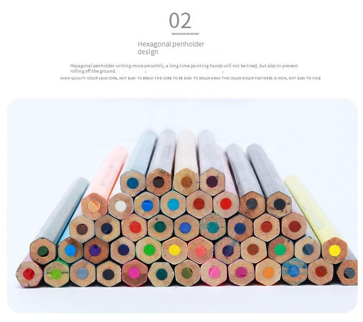 Estojo dobrável para lápis de cor com 50 cores – Suporte de madeira premium para artistas e estudantes – Organizador portátil para lápis de cor (50 cores incluídas)_voghion.com