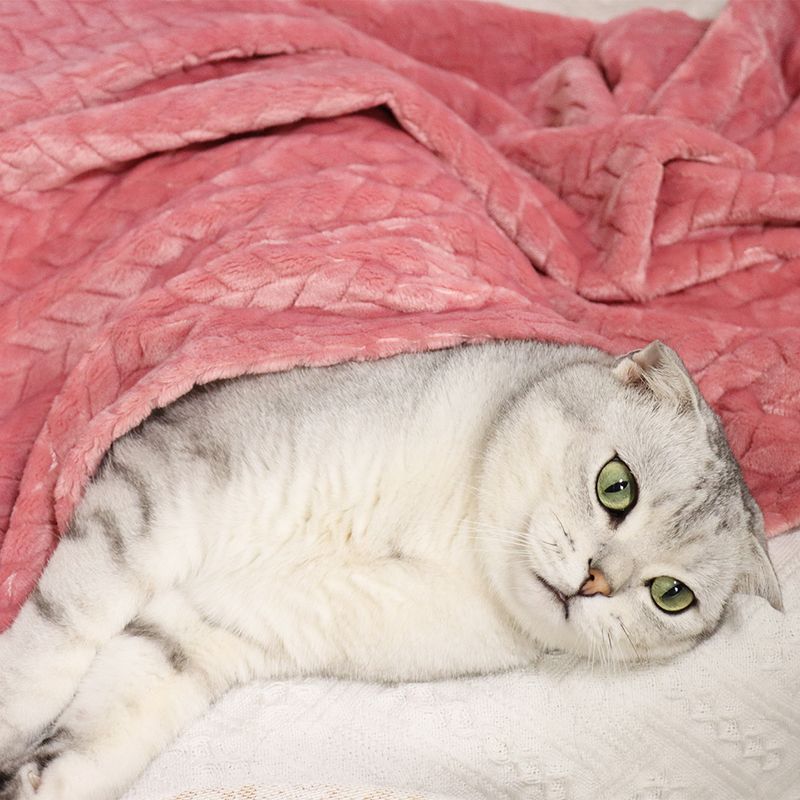 Weizenohr kleine Haustier Katze Nest Matte Hund Wärme Abdeckung Korallen Samt verdickte Decke_voghion.com