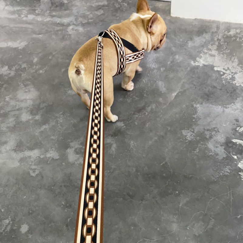 Pet Explosion-Proof Small Medium Large Collar Leash Big Dog Walking Chain_voghion.com